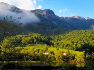 Licensed Tour Guide in Romania