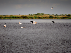 הזמנת סיורים של כמה ימים